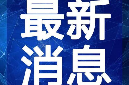 虎帅最新爆料视频大全下载,揭秘幕后真相，带你领略娱乐圈风云变幻