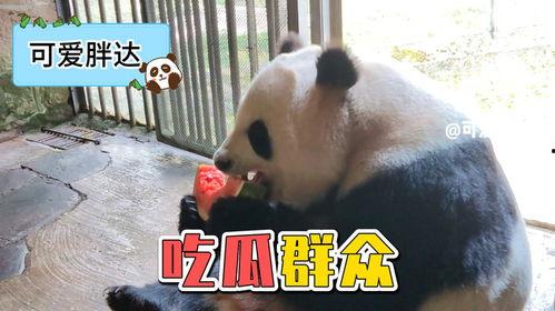 熊猫娱乐吃瓜酱,揭秘娱乐圈幕后故事 第3张 熊猫娱乐吃瓜酱,揭秘娱乐圈幕后故事 第3张