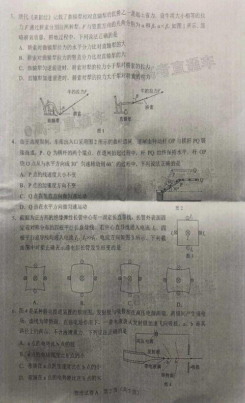 最新蓬莱爆料新闻事件是真的吗,事件真相揭秘，官方调查进展如何？