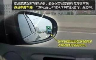 爆料车麻子视频大全集