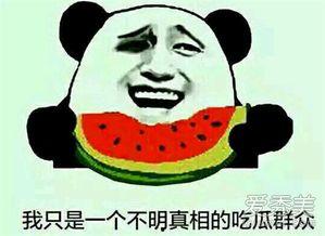 吃瓜群众免费吃,全民狂欢!揭秘吃瓜群众福利盛宴 第3张 吃瓜群众免费吃,全民狂欢!揭秘吃瓜群众福利盛宴 第3张