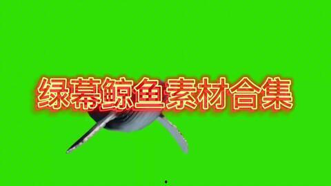 新闻爆料绿幕素材,新闻背后的特效制作秘密 第1张 新闻爆料绿幕素材,新闻背后的特效制作秘密 第1张